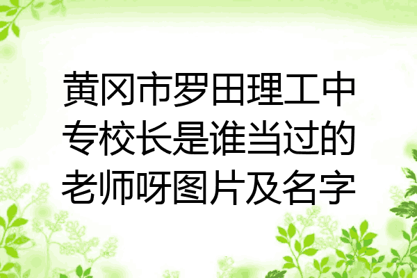 黄冈市罗田理工中专校长是谁当过的老师呀图片及名字