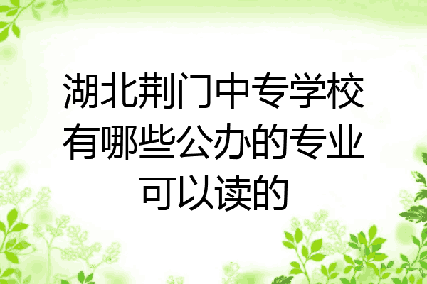 湖北荆门中专学校有哪些公办的专业可以读的
