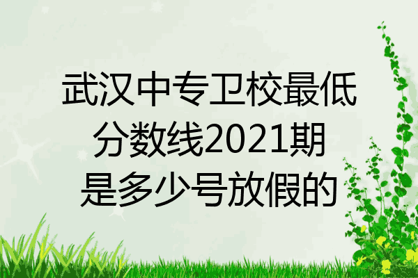 武汉中专卫校最低分数线2021期是多少号放假的