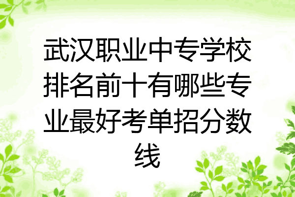 武汉职业中专学校排名前十有哪些专业最好考单招分数线