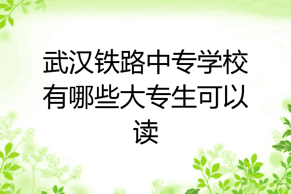 武汉铁路中专学校有哪些大专生可以读