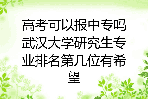 高考可以报中专吗武汉大学研究生专业排名第几位有希望