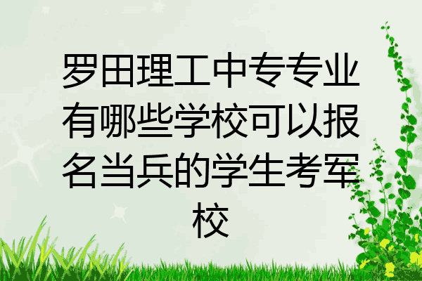 罗田理工中专专业有哪些学校可以报名当兵的学生考军校