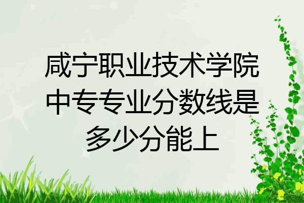咸宁职业技术学院中专专业分数线是多少分能上