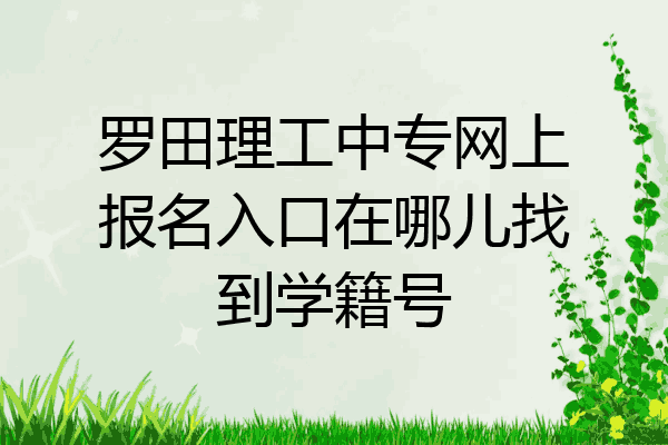 罗田理工中专网上报名入口在哪儿找到学籍号