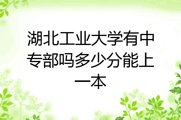 湖北工业大学有中专部吗多少分能上一本