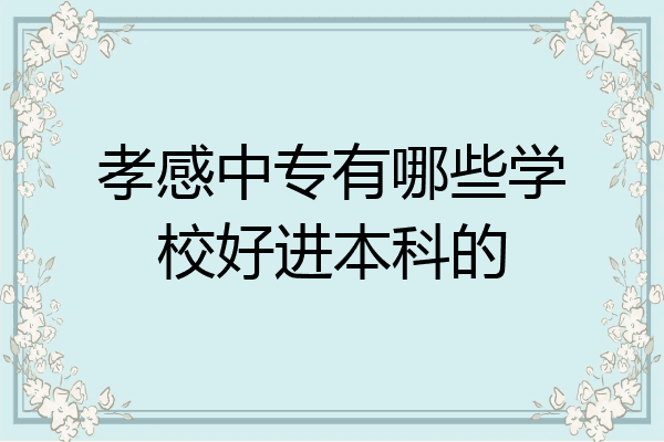 孝感中专有哪些学校好进本科的