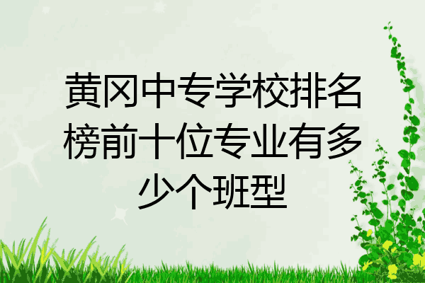 黄冈中专学校排名榜前十位专业有多少个班型
