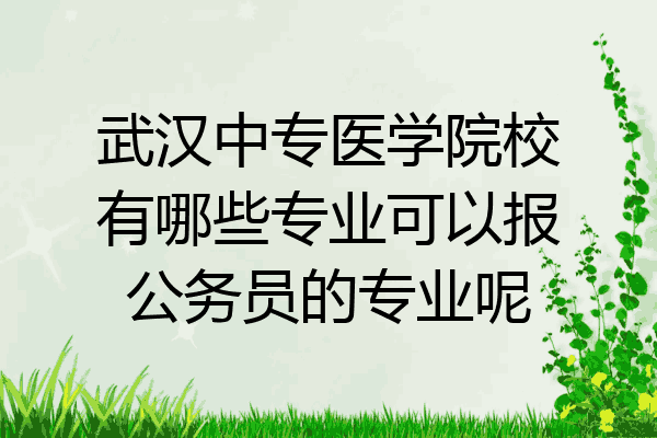 武汉中专医学院校有哪些专业可以报公务员的专业呢