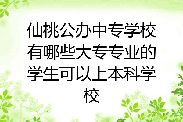 仙桃公办中专学校有哪些大专专业的学生可以上本科学校