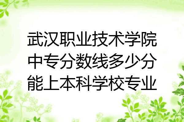 武汉职业技术学院中专分数线多少分能上本科学校专业
