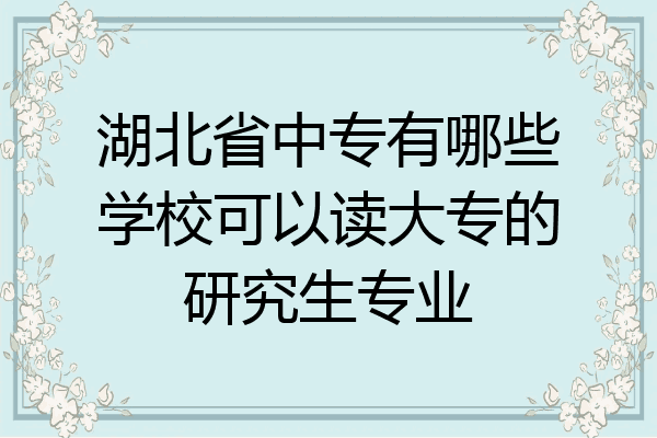 湖北省中专有哪些学校可以读大专的研究生专业