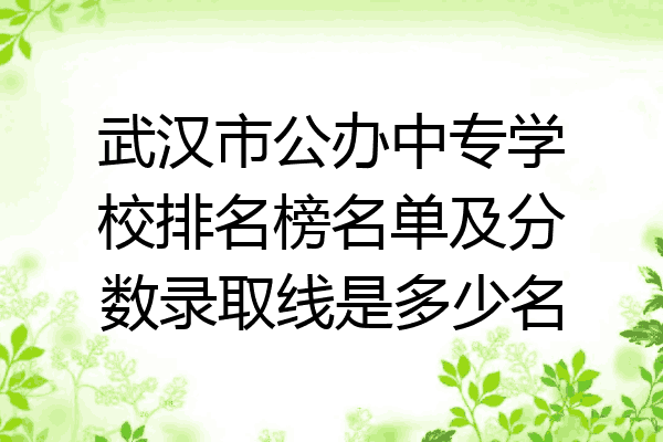 武汉市公办中专学校排名榜名单及分数录取线是多少名
