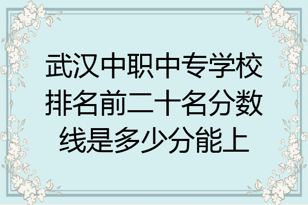 武汉中职中专学校排名前二十名分数线是多少分能上