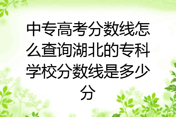中专高考分数线怎么查询湖北的专科学校分数线是多少分