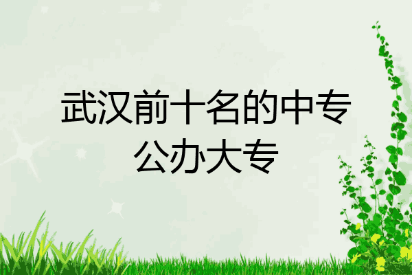 武汉前十名的中专公办大专