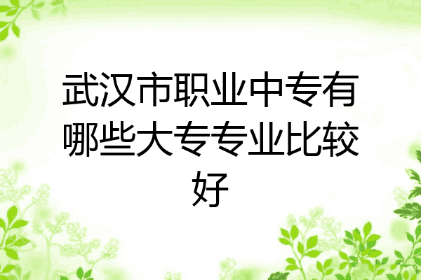 武汉市职业中专有哪些大专专业比较好