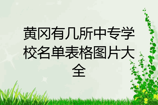 黄冈有几所中专学校名单表格图片大全