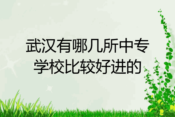 武汉有哪几所中专学校比较好进的