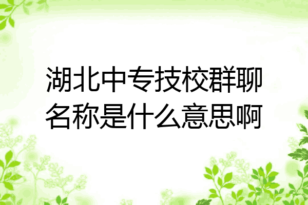 湖北中专技校群聊名称是什么意思啊
