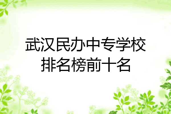 武汉民办中专学校排名榜前十名