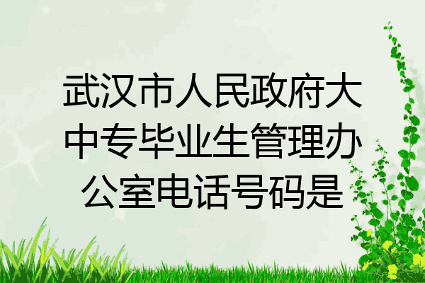 武汉市人民政府大中专毕业生管理办公室电话号码是