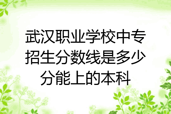 武汉职业学校中专招生分数线是多少分能上的本科
