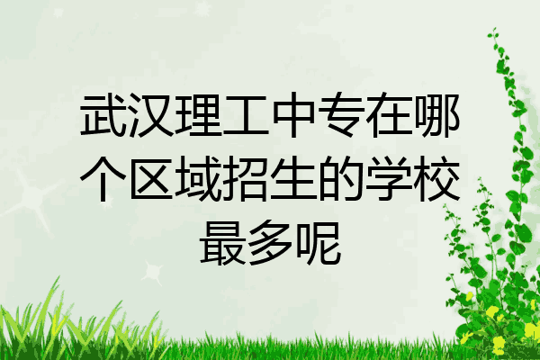 武汉理工中专在哪个区域招生的学校最多呢