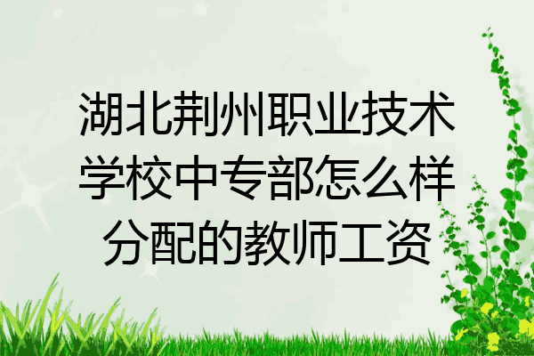 湖北荆州职业技术学校中专部怎么样分配的教师工资