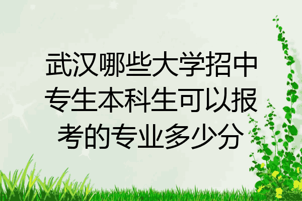 武汉哪些大学招中专生本科生可以报考的专业多少分