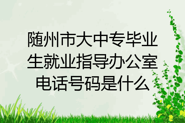 随州市大中专毕业生就业指导办公室电话号码是什么