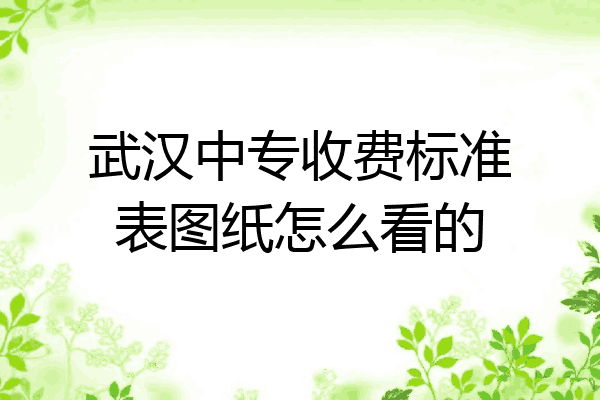 武汉中专收费标准表图纸怎么看的