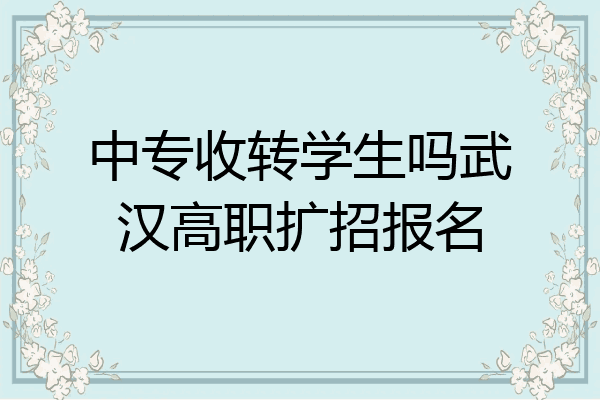 中专收转学生吗武汉高职扩招报名