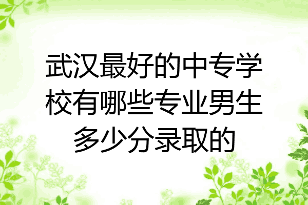 武汉最好的中专学校有哪些专业男生多少分录取的