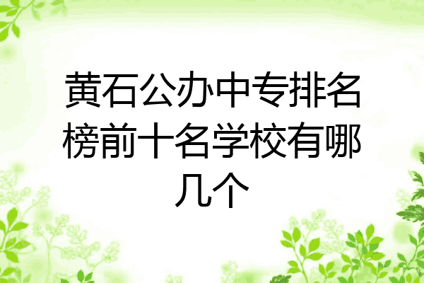黄石公办中专排名榜前十名学校有哪几个