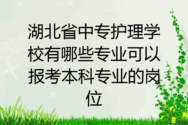 湖北省中专护理学校有哪些专业可以报考本科专业的岗位