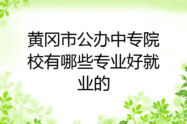 黄冈市公办中专院校有哪些专业好就业的