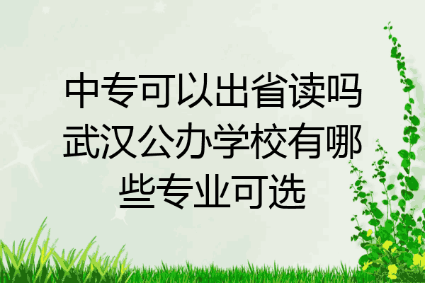 中专可以出省读吗武汉公办学校有哪些专业可选