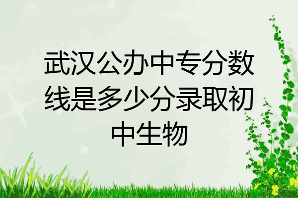 武汉公办中专分数线是多少分录取初中生物