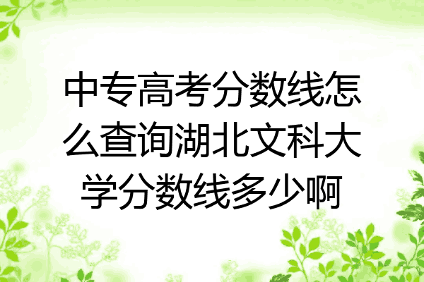 中专高考分数线怎么查询湖北文科大学分数线多少啊