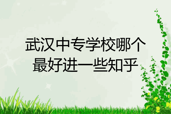 武汉中专学校哪个最好进一些知乎