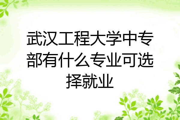 武汉工程大学中专部有什么专业可选择就业