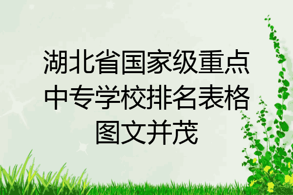 湖北省国家级重点中专学校排名表格图文并茂