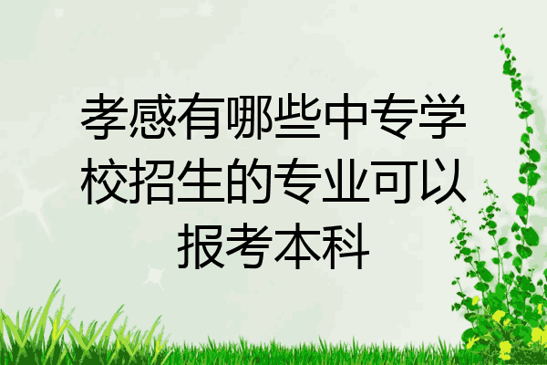 孝感有哪些中专学校招生的专业可以报考本科