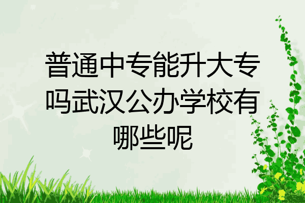 普通中专能升大专吗武汉公办学校有哪些呢