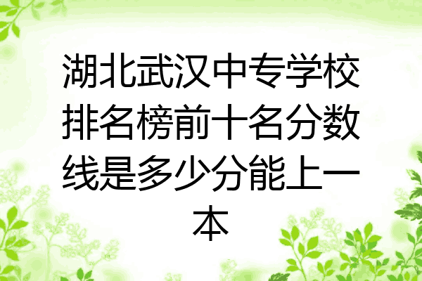 湖北武汉中专学校排名榜前十名分数线是多少分能上一本