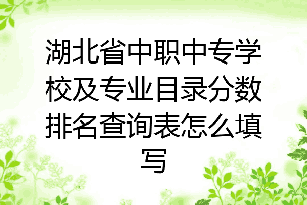 湖北省中职中专学校及专业目录分数排名查询表怎么填写