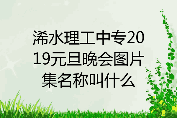 浠水理工中专2019元旦晚会图片集名称叫什么