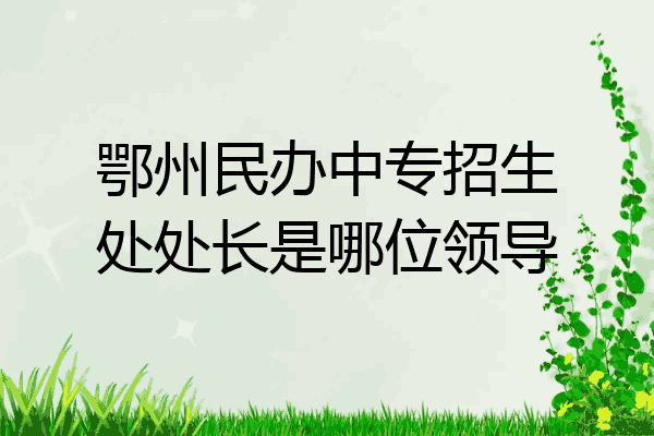 鄂州民办中专招生处处长是哪位领导