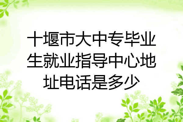 十堰市大中专毕业生就业指导中心地址电话是多少